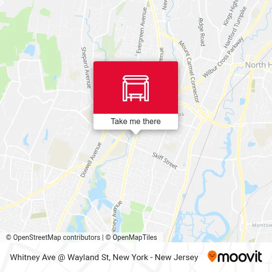 Whitney Ave @ Wayland St map