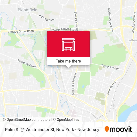 Palm St @ Westminster St map