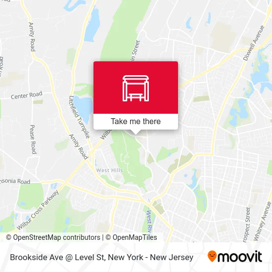 Brookside Ave @ Level St map