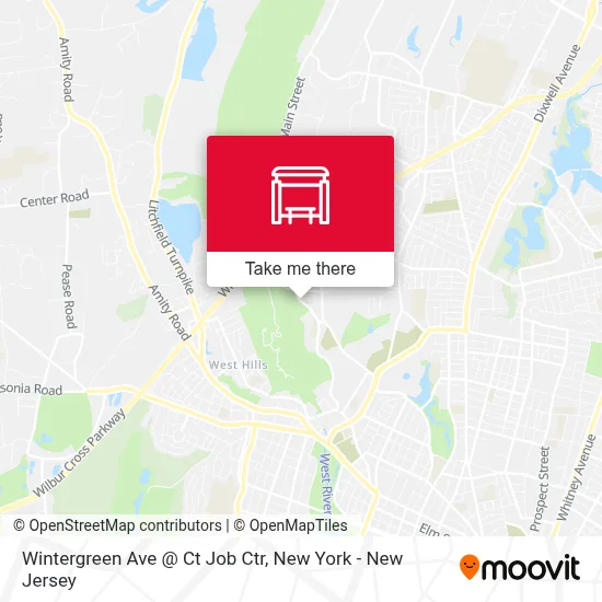 Wintergreen Ave @ Ct Job Ctr map