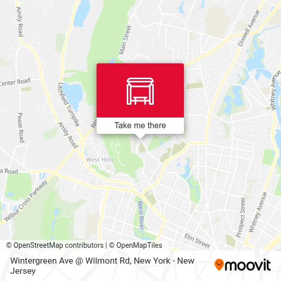 Wintergreen Ave @ Wilmont Rd map