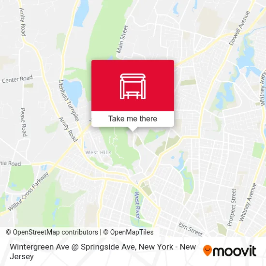 Wintergreen Ave @ Springside Ave map