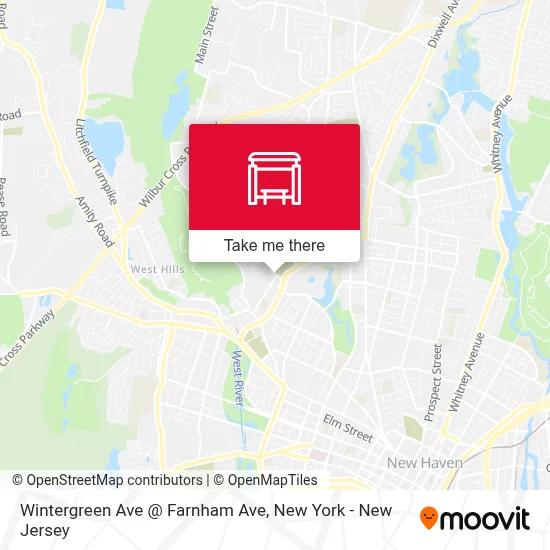 Wintergreen Ave @ Farnham Ave map