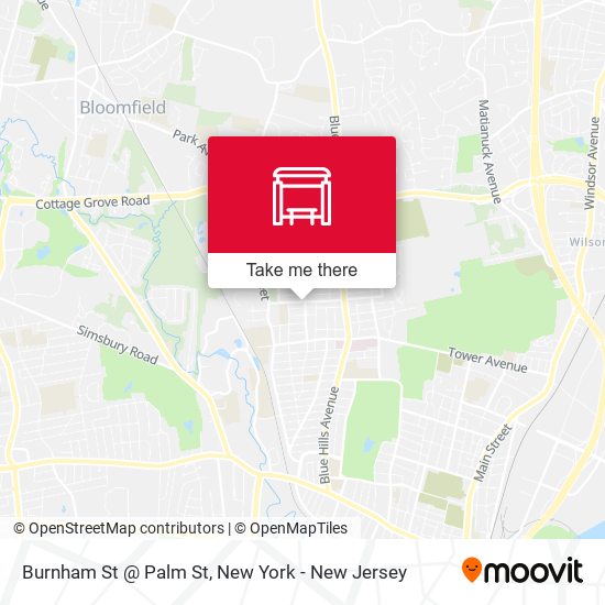 Mapa de Burnham St @ Palm St