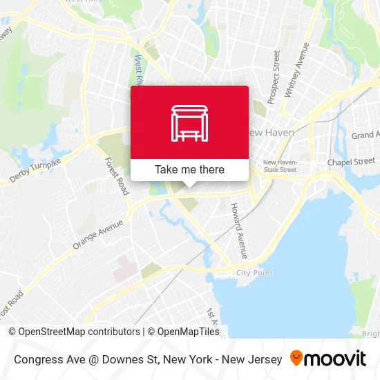 Congress Ave @ Downes St map