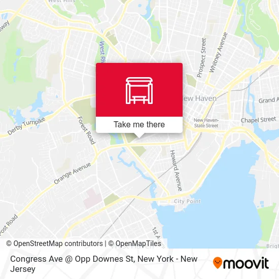 Congress Ave @ Opp Downes St map