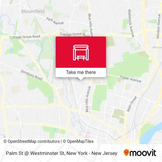 Palm St @ Westminster St map