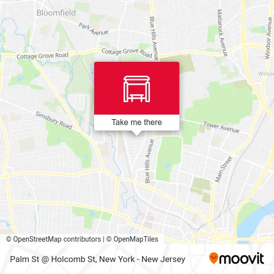 Palm St @ Holcomb St map