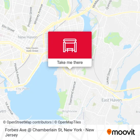 Forbes Ave @ Chamberlain St map