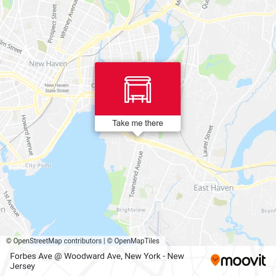 Forbes Ave @ Woodward Ave map