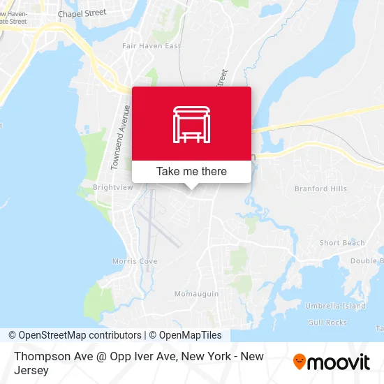 Thompson Ave @ Opp Iver Ave map