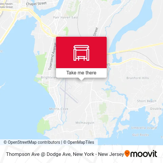 Thompson Ave @ Dodge Ave map