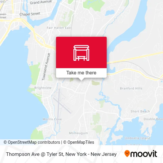 Thompson Ave @ Tyler St map