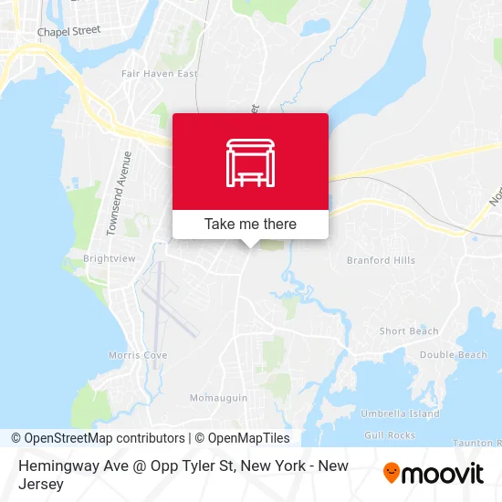 Hemingway Ave @ Opp Tyler St map