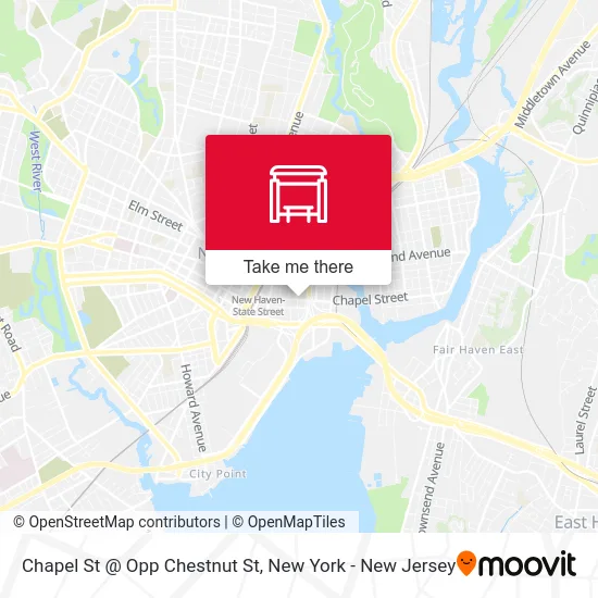 Chapel St @ Opp Chestnut St map