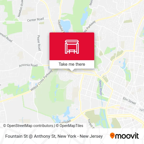 Fountain St @ Anthony St map