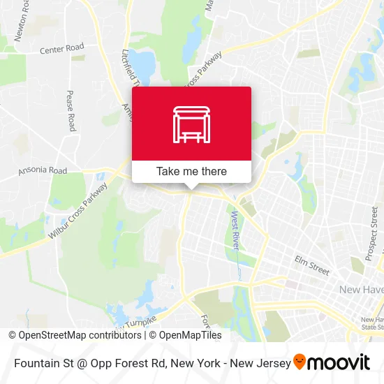 Fountain St @ Opp Forest Rd map