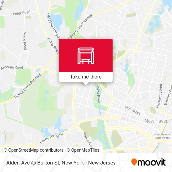 Alden Ave @ Burton St map
