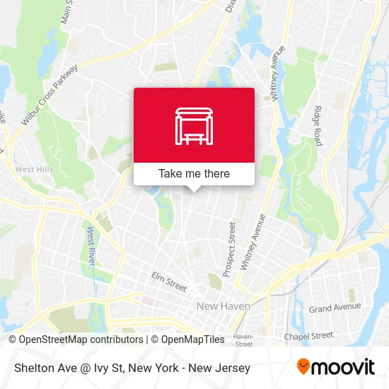 Shelton Ave @ Ivy St map