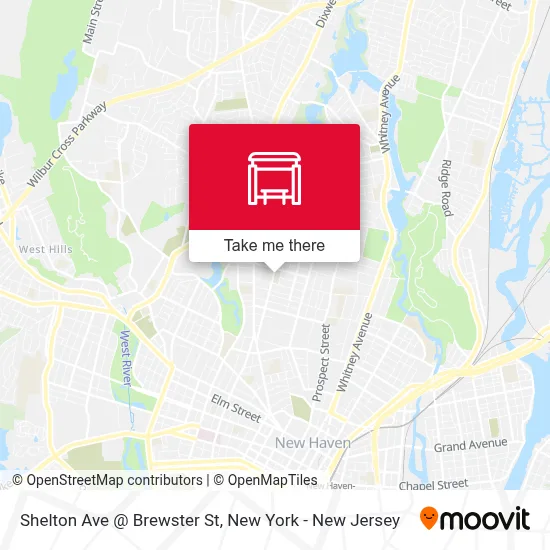 Shelton Ave @ Brewster St map