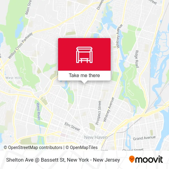Shelton Ave @ Bassett St map