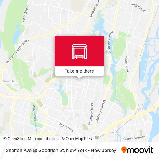 Shelton Ave @ Goodrich St map