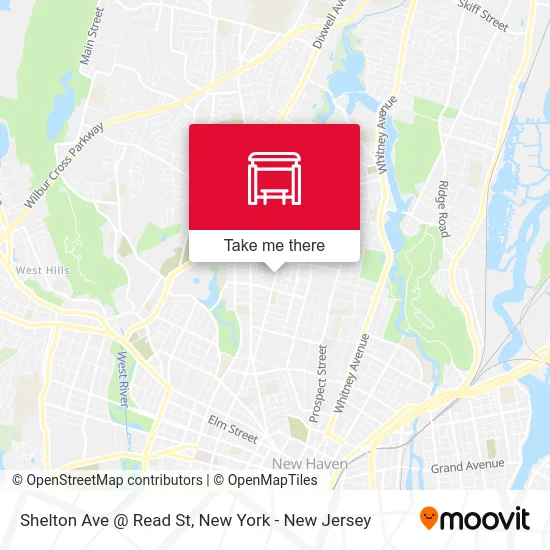 Shelton Ave @ Read St map