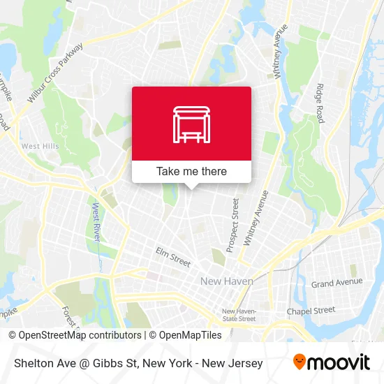 Shelton Ave @ Gibbs St map