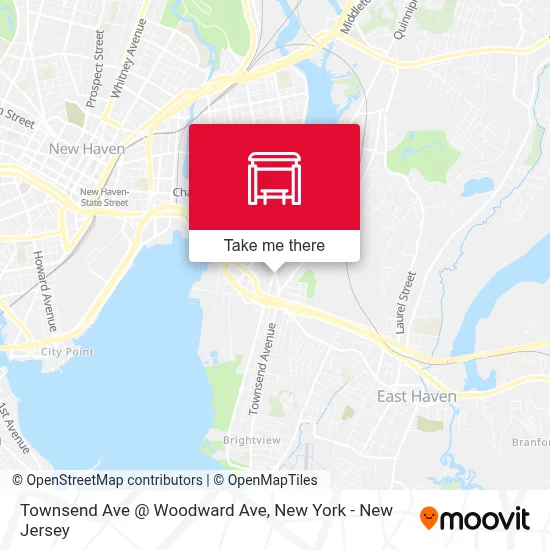 Townsend Ave @ Woodward Ave map