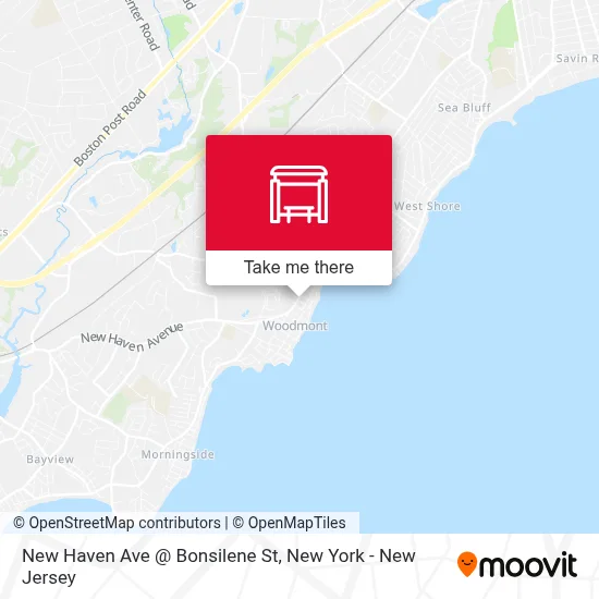 New Haven Ave @ Bonsilene St map