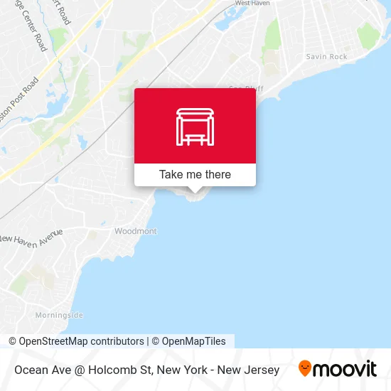 Ocean Ave @ Holcomb St map