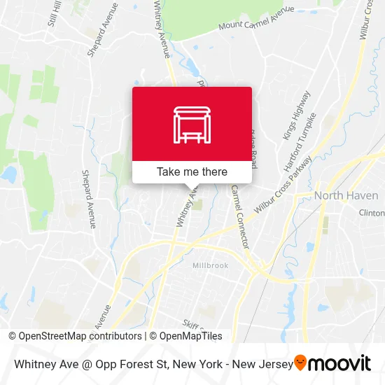 Whitney Ave @ Opp Forest St map