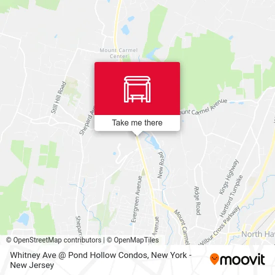 Whitney Ave @ Pond Hollow Condos map