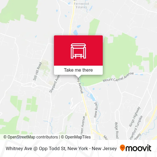 Whitney Ave @ Opp Todd St map