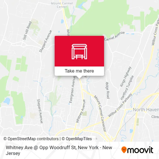 Whitney Ave @ Opp Woodruff St map