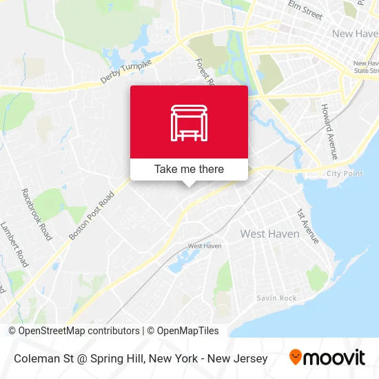 Coleman St @ Spring Hill map