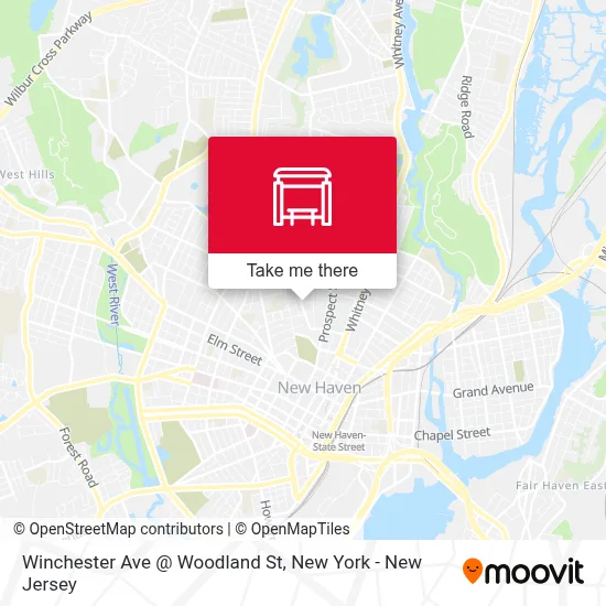 Winchester Ave @ Woodland St map