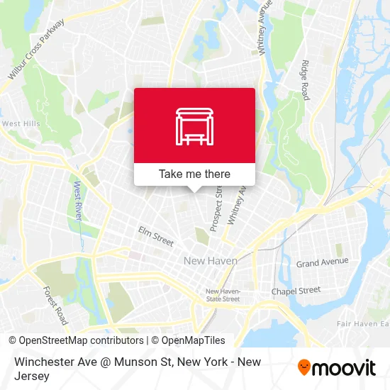 Winchester Ave @ Munson St map