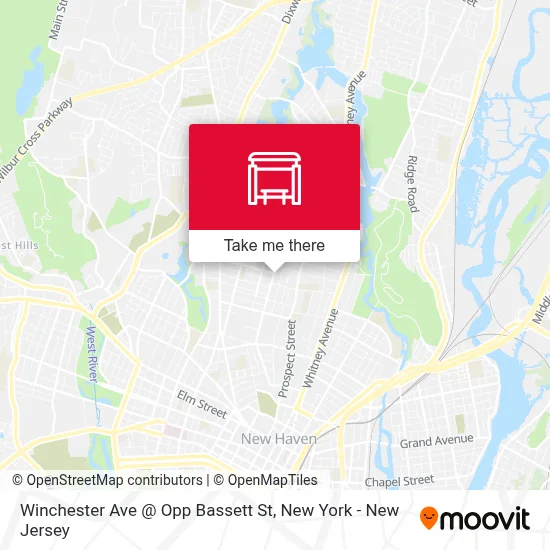 Winchester Ave @ Opp Bassett St map