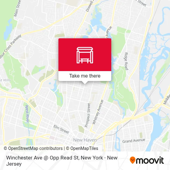 Winchester Ave @ Opp Read St map