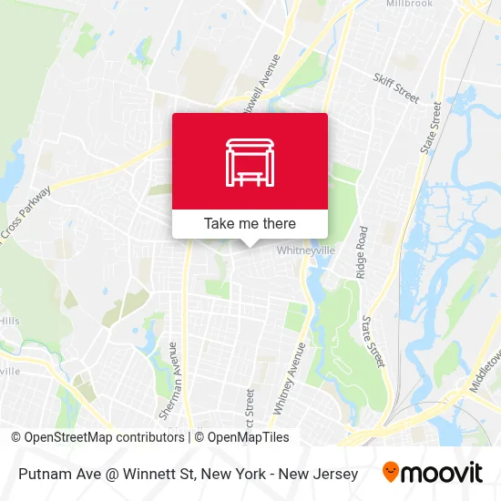 Putnam Ave @ Winnett St map