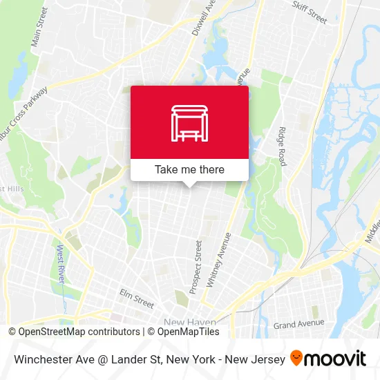 Winchester Ave @ Lander St map