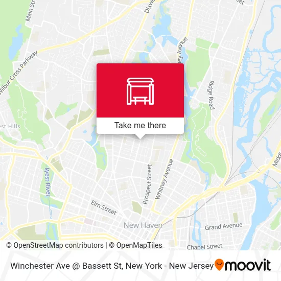 Winchester Ave @ Bassett St map