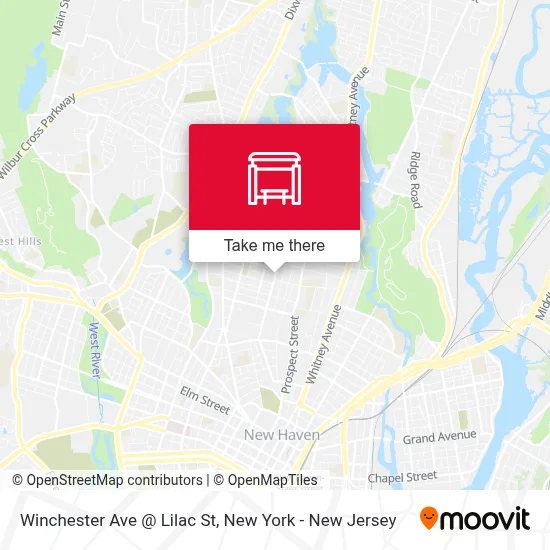 Winchester Ave @ Lilac St map