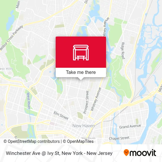 Winchester Ave @ Ivy St map