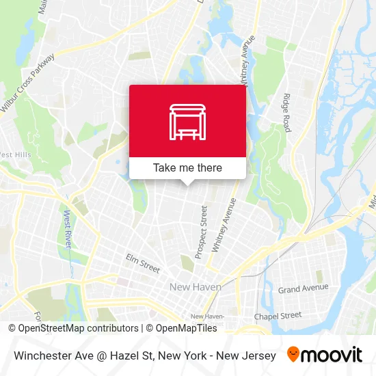 Winchester Ave @ Hazel St map