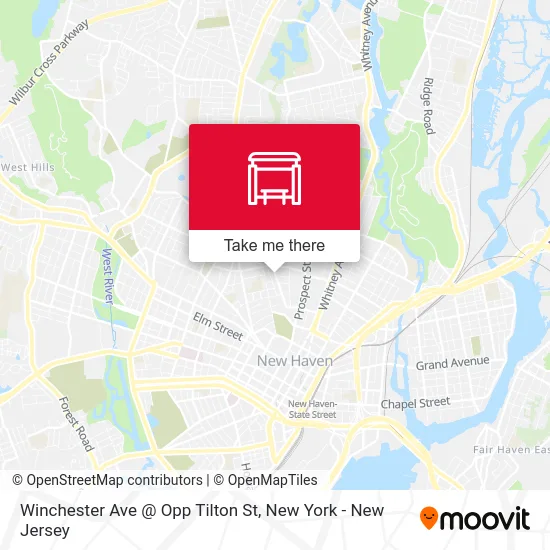 Winchester Ave @ Opp Tilton St map