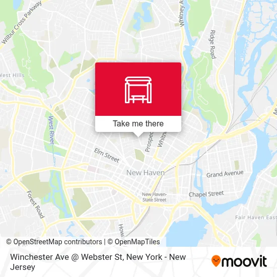 Winchester Ave @ Webster St map