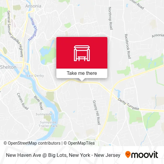 New Haven Ave @ Big Lots map