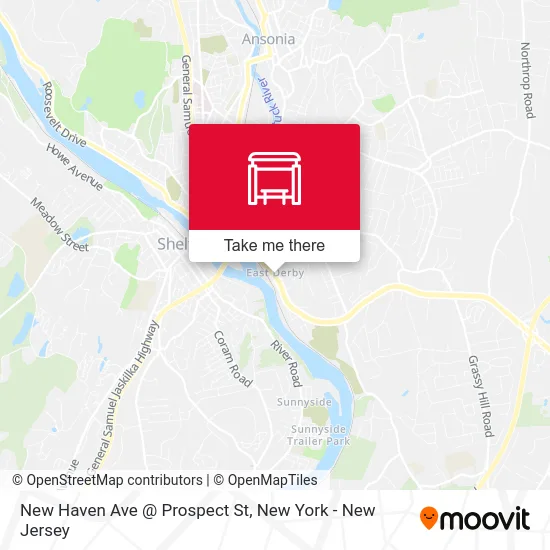 New Haven Ave @ Prospect St map
